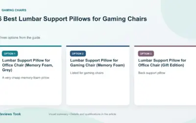 6 Best Lumbar Support Pillows for Gaming Chairs (2026)